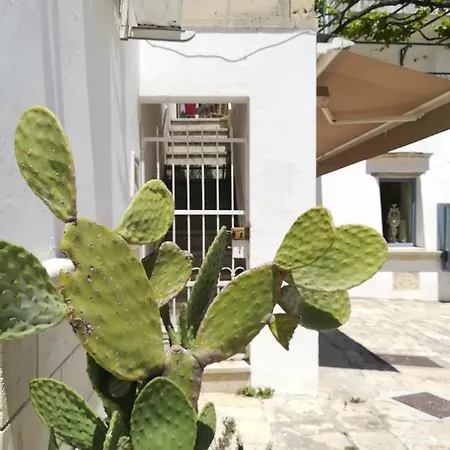 Διαμέρισμα Terrazza Sul Castello *
